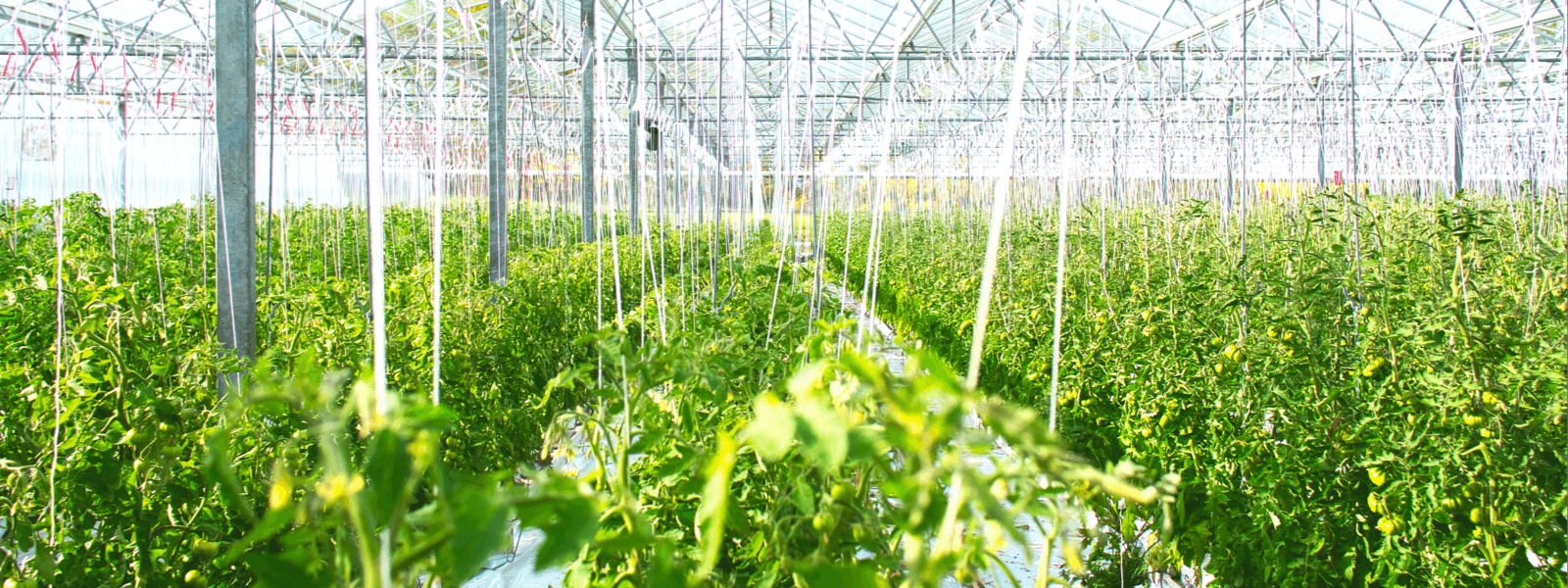 向阳而生、逐浪前行，追求卓越、只争朝夕