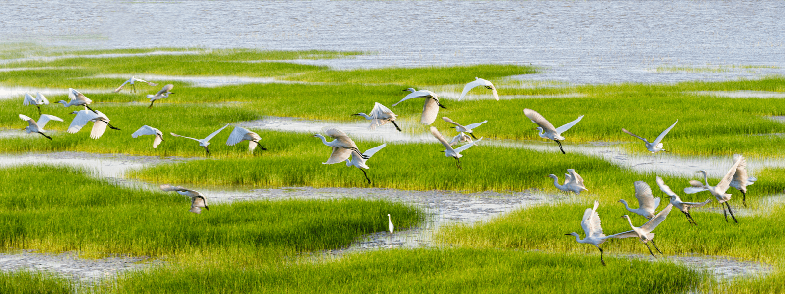 生态优先、绿色发展