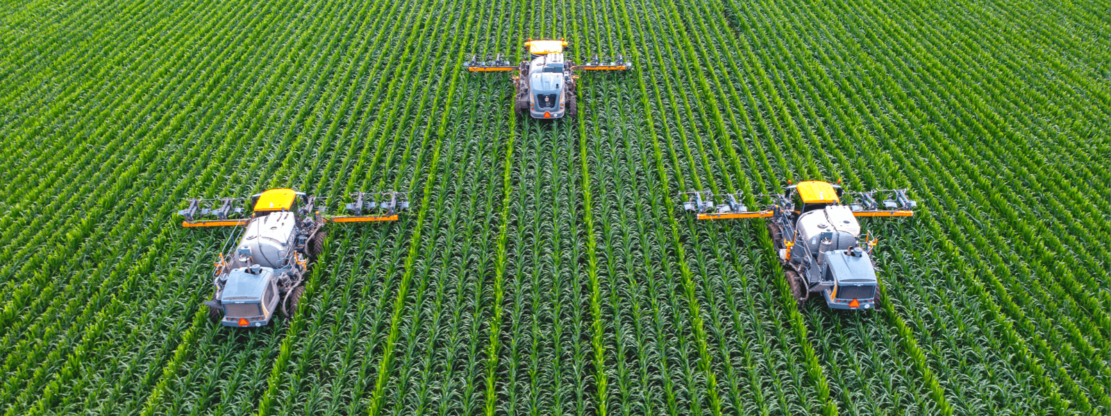 牢记使命、服务全局